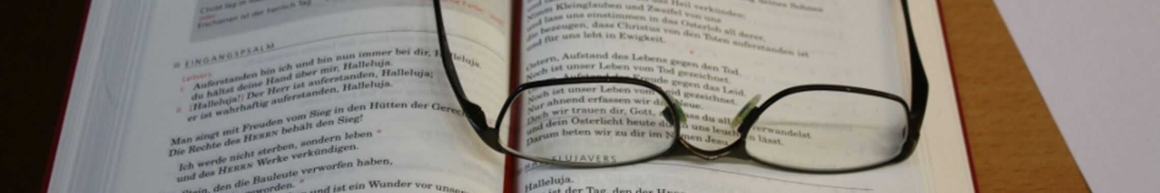 Kopfgrafik Brille