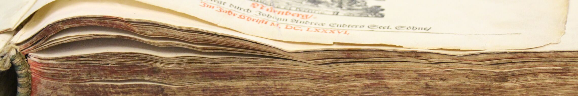 Bibliothek - Seitenansicht alte Bibel