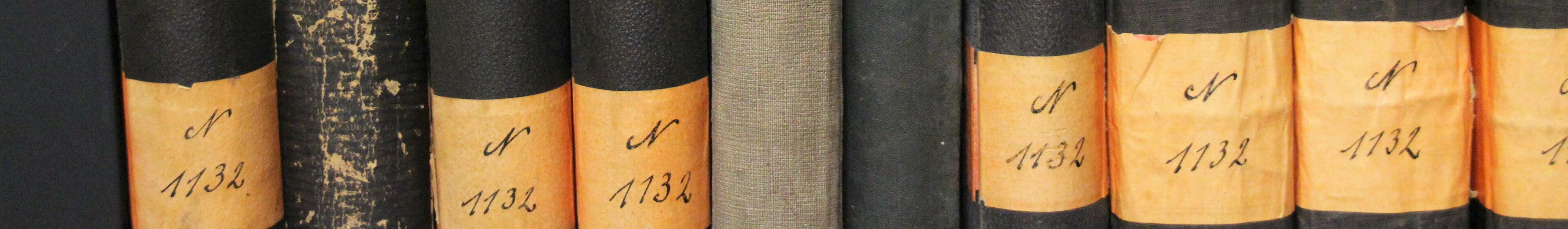 Bibliothek - alse Buecher im Regal Homepageslider
